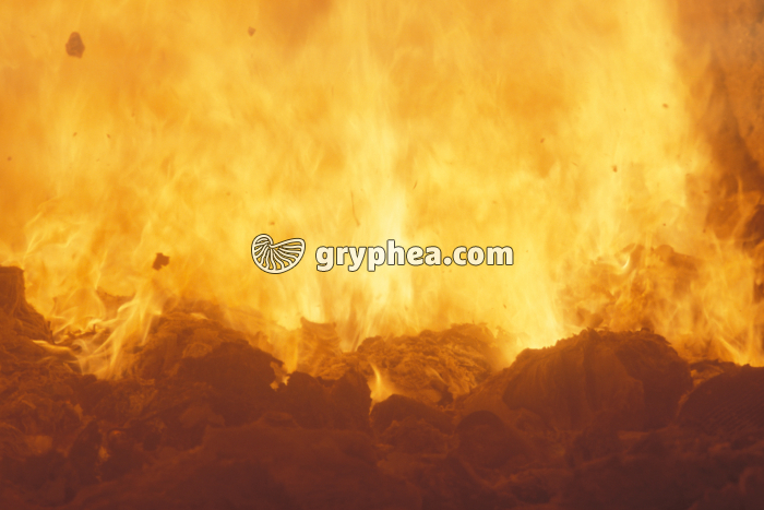 Incinération ordures ménagères - gryphea.org